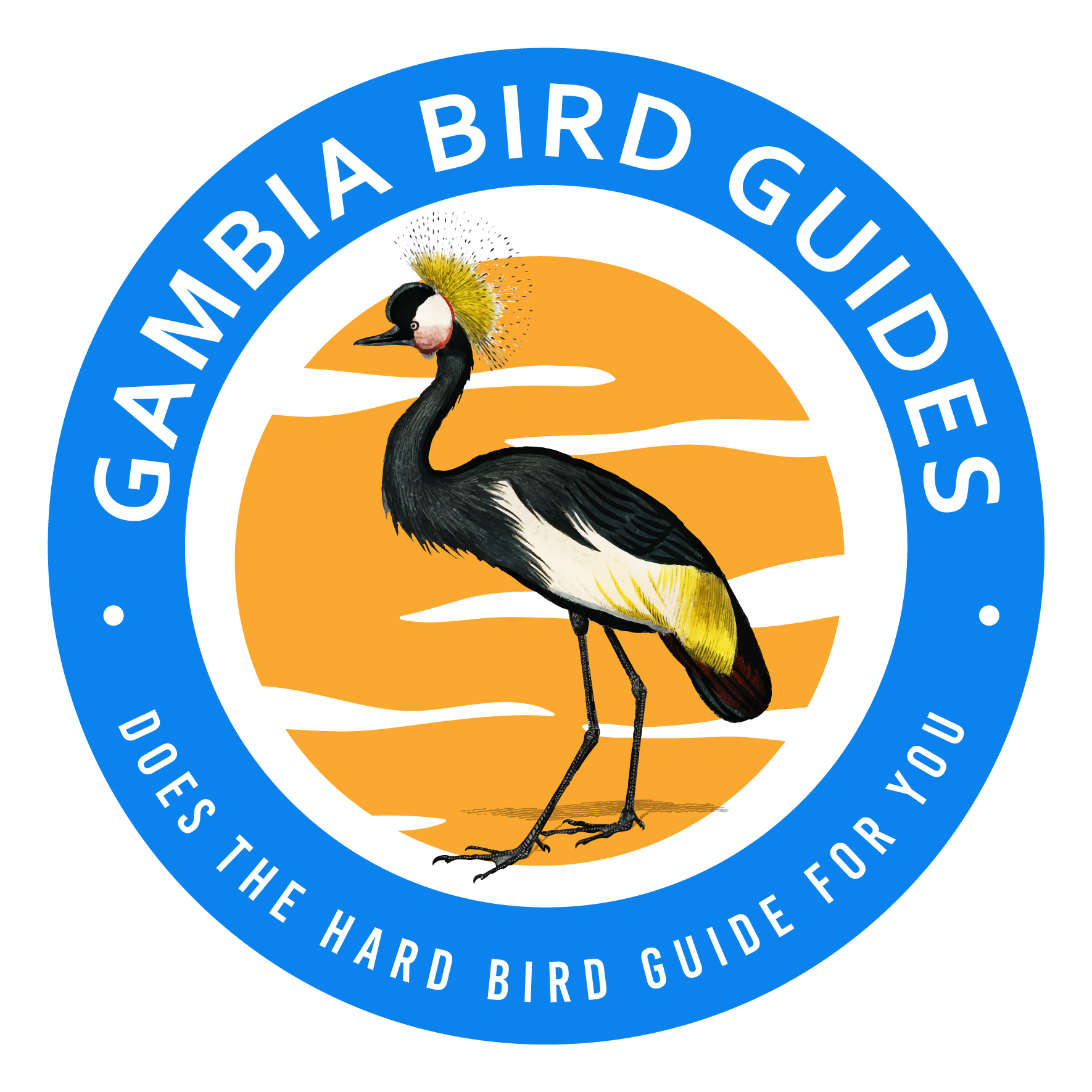 Gambia Bird Guides