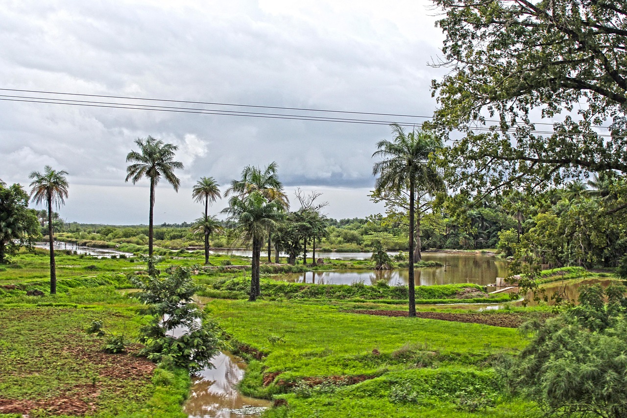 Wetlands Reserves